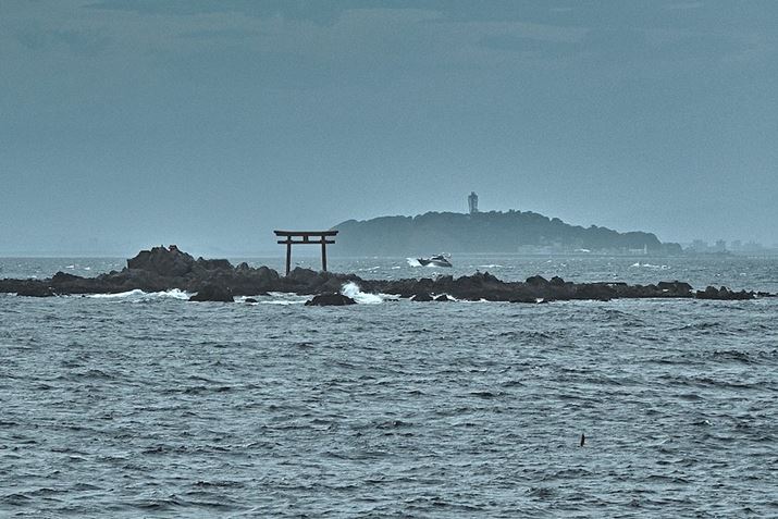 XˊC݂猩閼̒Bwɍ]mꍞ݁ANbvY[ŎBe܂BVC悯΁AxmRꏏɓBeX|bgłB͓܂Ă̂Fill LightgAIȕ`ʂڎwĂ݂܂fp LA50mm F1.4 DG DNAF4.0A1/6000bAISO100AzCgoXFiB6AG8jAJ[[hFeB[AhIWAAXyNgF3:2AFill LightF+2ANbvY[5{Beʐ^i1920×1280A1.7MBj