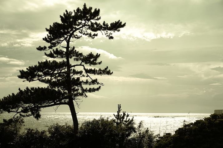 fp LA50mm F1.4 DG DNAF8A1/400bAISO100AzCgoXFiB6AG8jAJ[[hFVl}AAXyNgF3:2Beʐ^i9520×6328A25.7MBj