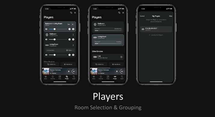 uPlayersv́uBluOSvi̊ǗEݒsy[WB@\Iɂ͂قڏ]ƓA}`[̃ACRςȂǂ̃ubVAbv{邻