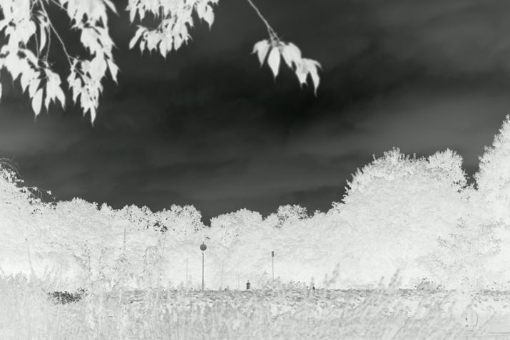 ŏ̓lK|ǂłPENTAX K-3 Mark III MonochromeAHD PENTAX-DA 35mmF2.8 Macro LimitedA53.5mmi35mmZjAF2.8A1/6400bAISO200AJX^C[WFX^_[hAfW^tB^[FlK|W]Beʐ^i6192×4128A10.4MBj