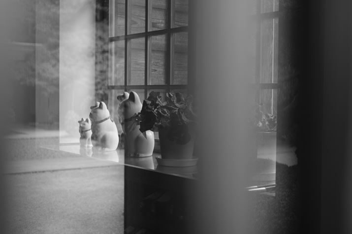 PENTAX K-3 Mark III MonochromeAHD PENTAX-DA 35mmF2.8 Macro LimitedA53.5mmi35mmZjAF2.8A1/250bAISO400A-0.3EVAJX^C[WFX^_[hBeʐ^i6192×4128A10.7MBj