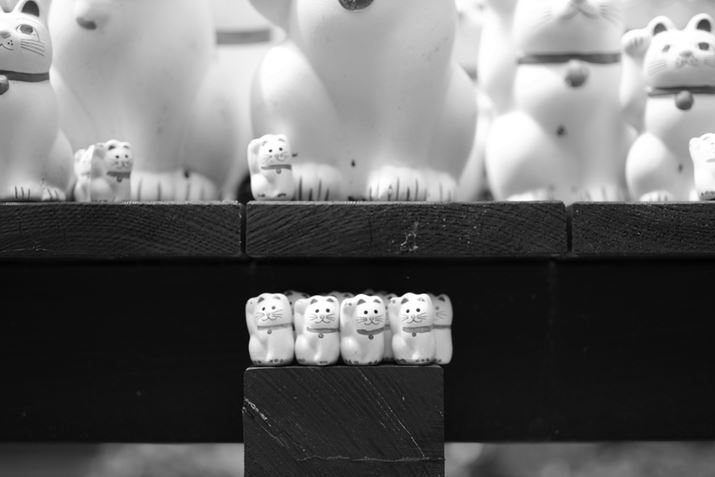 ̗͎̉PENTAX K-3 Mark III MonochromeAHD PENTAX-DA 35mmF2.8 Macro LimitedA53.5mmi35mmZjAF2.8A1/1000bAISO400A-0.3EVAJX^C[WFX^_[hBeʐ^i6192×4128A9.4MBj