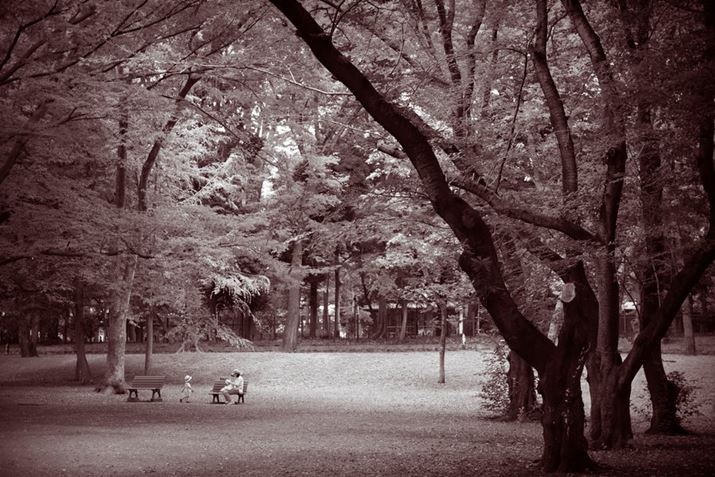 PENTAX K-3 Mark III MonochromeAHD PENTAX-DA 35mmF2.8 Macro LimitedA53.5mmi35mmZjAF2.8A1/250bAISO400AJX^C[WFX^_[hAfW^tB^[FgCJBeʐ^i6192×4128A14.8MBj