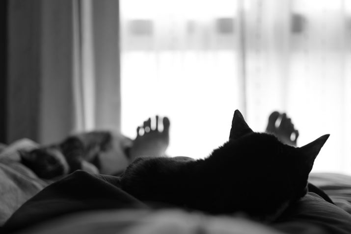 PENTAX K-3 Mark III MonochromeAHD PENTAX-DA 35mmF2.8 Macro LimitedA53.5mmi35mmZjAF2.8A1/60bAISO1600A+0.7EVAJX^C[WFX^_[hBeʐ^i6192×4128A11.1MBj