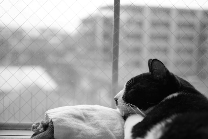 PENTAX K-3 Mark III MonochromeAHD PENTAX-DA 35mmF2.8 Macro LimitedA53.5mmi35mmZjAF2.8A1/160bAISO400A+0.7EVAJX^C[WFX^_[hBeʐ^i6192×4128A9.0MBj