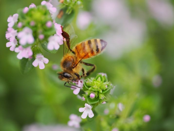 }NYgĎBeʐ^Bł͂Ƃ炦Ȃȕ܂ŎʂĂ܂OM-1AM.ZUIKO DIGITAL ED 90mm F3.5 Macro IS PROA90mmi35mmZ180mmjAF3.5A1/4000bAISO1600AzCgoXFI[gAsN`[[hFi-FinishBeʐ^i5184×3888A13.3MBj