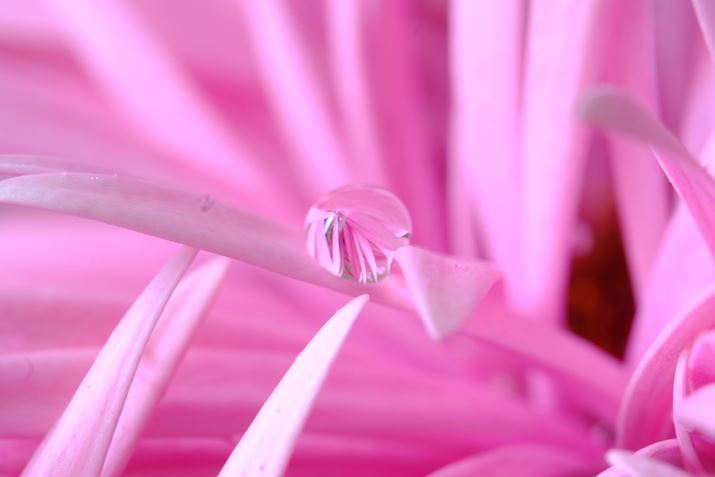 X-H2AXF80mmF2.8 R LM OIS WR MacroA80mmi35mmZ122mmjAF16A2bAISO400AzCgoXFI[gAtBV~[VFVelvia/rrbhBeʐ^i7728×5152A15.7MBj