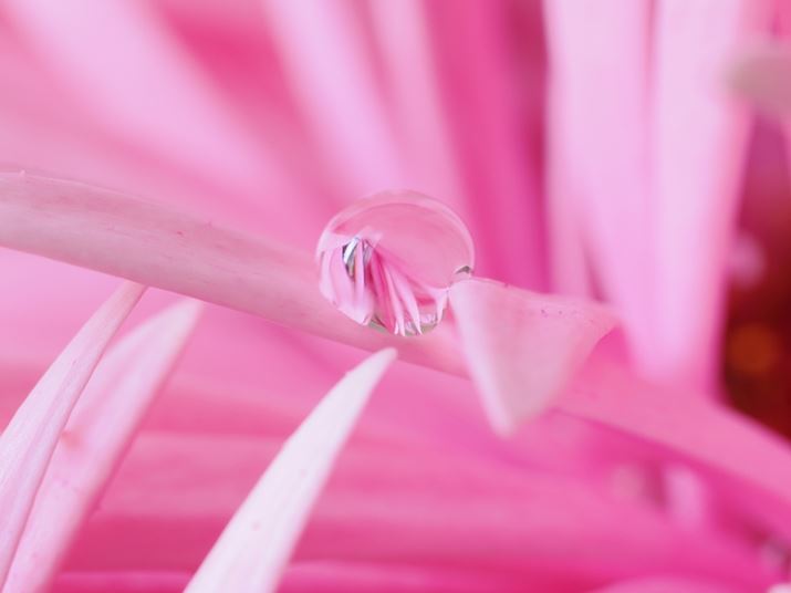 OM-1AM.ZUIKO DIGITAL ED 90mm F3.5 Macro IS PROA90mmi35mmZ180mmjAF16A2.5bAISO400AzCgoXFI[gAsN`[[hFVividBeʐ^i5184×3888A8.5MBj