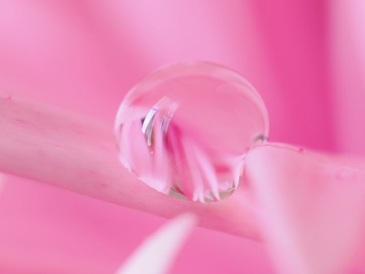 OM-1AM.ZUIKO DIGITAL ED 90mm F3.5 Macro IS PROAF16A2.5bAISO400AzCgoXFI[gAsN`[[hFVividBeʐ^i5184×3888A8.2MBj