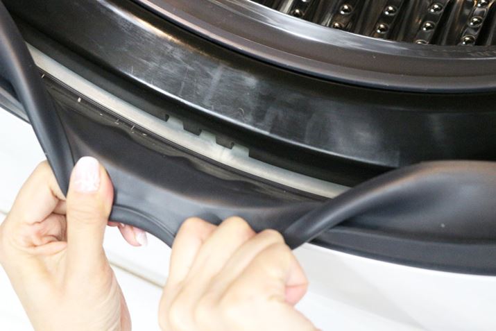 hApbL̗ɉꂪ܂Ɛ̔roWAŘɂȂ܂