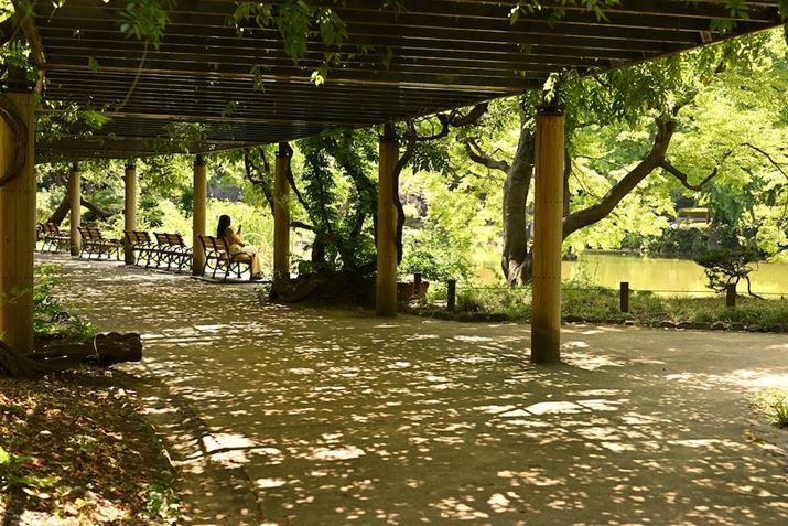 Z 8A35-150mm F/2-2.8 Di III VXDA50mmAF4.0A1/80bAISO100A+0.7EVAzCgoXFI[gAsN`[Rg[FX^_[hBeʐ^i8256×5504A28.6MBj