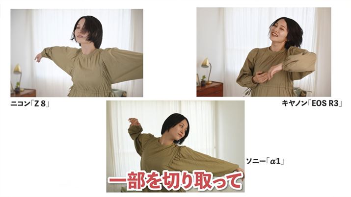 tTCY~[X3@͐FČAǂ掿