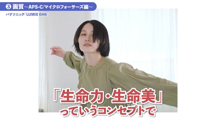 úEvRZvgɉ掿`[jOĂuLUMIX GH6v