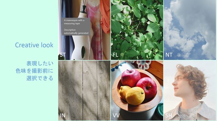 ݒIԂňۓIȃg[̓BełuNGCeBubNv𓋍ځBuXperia 1 VvɓڂĂ̂