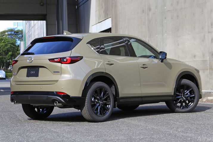 uCX-5 Retro Sports Editionv̊Oςɂ́A㋉O[h́uSports AppearanceṽubNp[c̗pĂAA~zC[ÓuBlack Tone EditionvƓɂ邱ƂŁAX|[eB[ȃfBe[\Ă