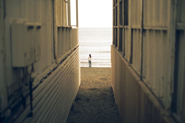 PENTAX K-1 Mark IIAsmc PENTAX-FA 50mm F1.4 ClassicAF1.4A1/1000bAISO100AJX^C[WFGoldBeʐ^i7360×4912A10.3MBj