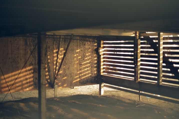 PENTAX K-1 Mark IIAsmc PENTAX-FA 50mm F1.4 ClassicAF1.4A1/200bAISO100AJX^C[WFGoldC̉Ƃ̓yɎ˂ޗ[ƂĂꂢłBeʐ^i7360×4912A13.0MBj