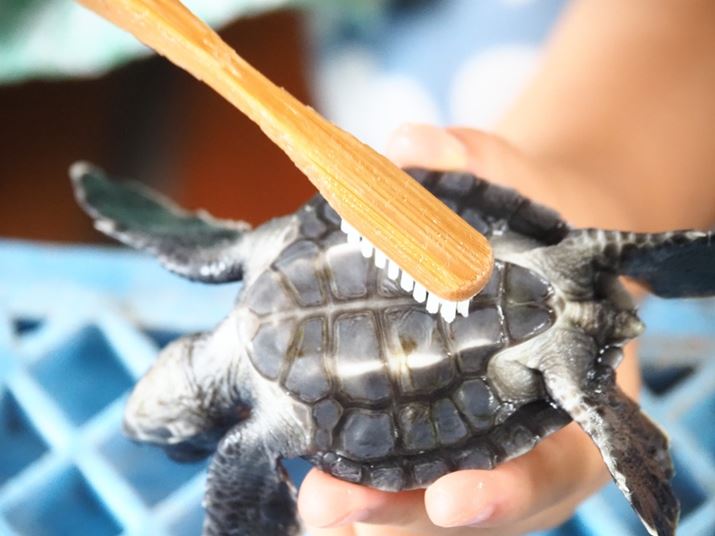 RK̍b̌Ă炢܂OM-5AM.ZUIKO DIGITAL ED 14-150mm F4.0-5.6 IIAF5.6A1/250bAISO6400A+0.3EVAzCgoXFAdオݒFVividA150mmi300mmjBeʐ^i5184×3888A10.8MBj