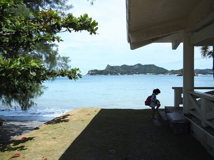 Ɍ̂Y̊C݁BƂĂÂŋSn悢łOM-5AM.ZUIKO DIGITAL ED 14-150mm F4.0-5.6 IIA14mmi35mmZ28mmjAF4A1/2000bAISO200A-0.3EVAzCgoXFVAdオݒFVivid