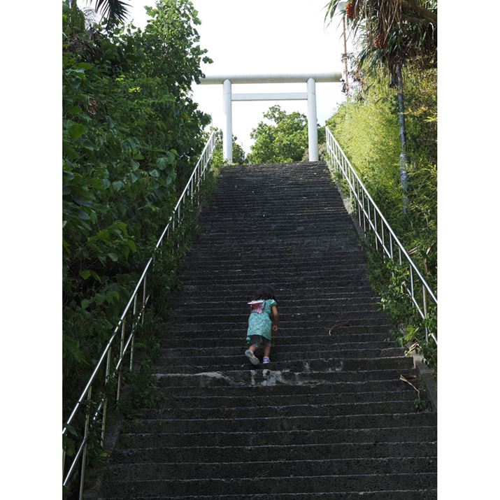 W]ւ̍sɂ͂܂A͑_R_ЂɌ&#12316;Ki郋[gIт܂Bꂪ炩ccOM-5AM.ZUIKO DIGITAL ED 14-150mm F4.0-5.6 IIA39mmi35mmZ78mmjAF8A1/160bAISO200A+0.7EVAzCgoXFVAdオݒFVivid