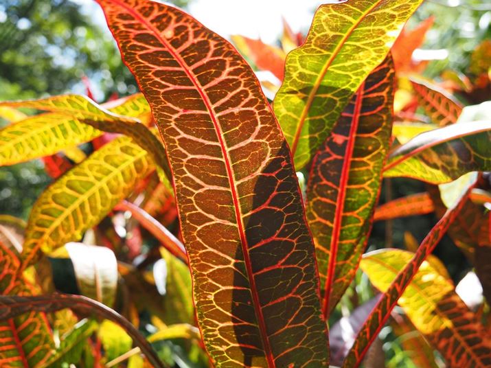 ABȂオĂ܂OM-5AM.ZUIKO DIGITAL ED 14-150mm F4.0-5.6 IIA22mmi35mmZ44mmjAF4.5A1/250bAISO200A+0.3EVAzCgoXFVAdオݒFVividBeʐ^i5184×3888A11.5MBj