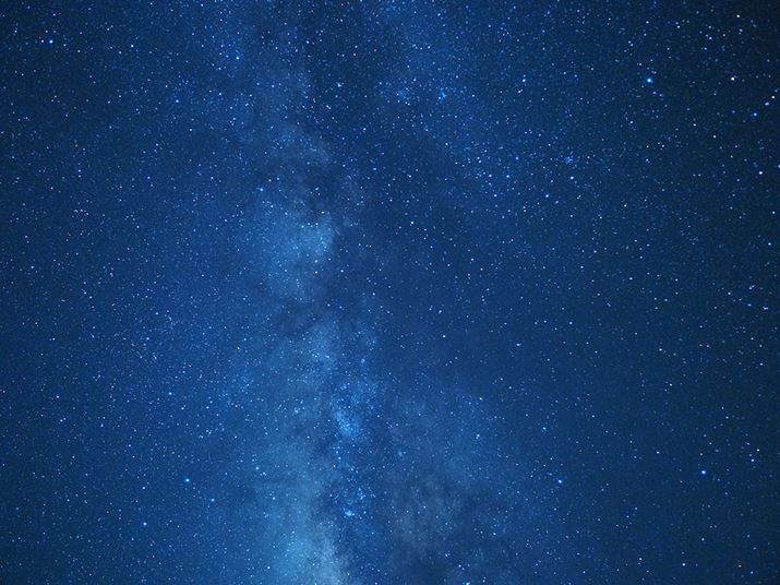 AFgēV̐BeB̓sg킹ɓVrAłA̋@\g΁AƂȒPɃsg𐯂ɍ킹܂BȂAiʐ^͖邢ŶقBe₷߁Ał́uM.ZUIKO DIGITAL ED 17mm F1.2 PROvŎBĂ܂OM-5AM.ZUIKO DIGITAL ED 17mm F1.2 PROA17mmi35mmZ34mmjAF1.2A13bAISO3200AzCgoXFMdAdオݒFVividBeʐ^i5184×3888A13.3MBj