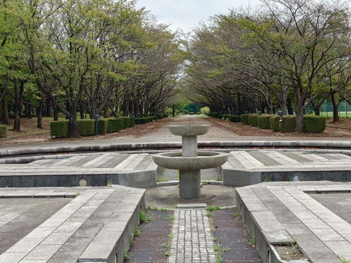 fW^Y[L̃mCY}ĂA𑜊BX|XI[gtH[JX̐\LpJɏĂ̂g₷BA]BeƂĂ͏œ_Z