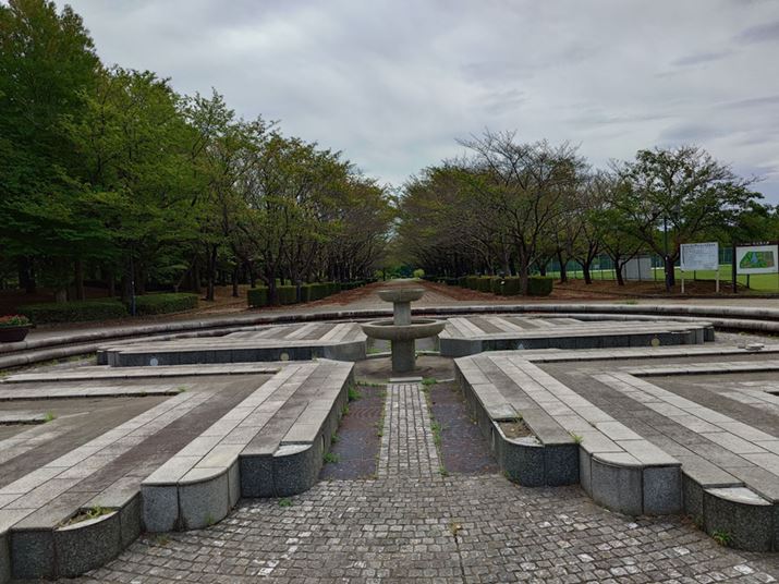 ̈ۂɋ߂uXperiav炵掿A؂╬̃^Ĉ悤Ȏӕ̉𑜊