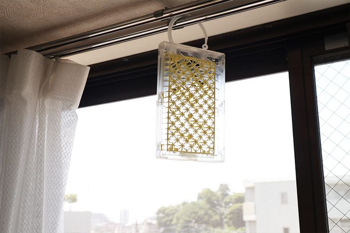 XPgłꂾǁAł͂ƂȂuƊvcc