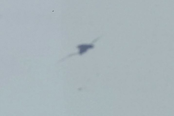 ƌ̗lqBJ̃sgȂقǏȂ܂BTCYƂĂ͔ȉBSɏĂ͂Ȃ̂́AgĂ܂XN͒Ⴛł