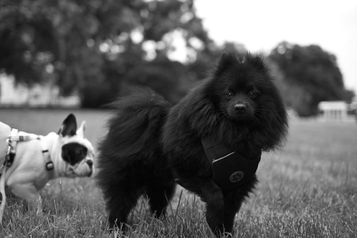 悭Ă2ČBeB̓⓵Ƀsg킹Ăꂽ̂ŎBe₷BłFĂꂽZ fANIKKOR Z 40mm f/2AF2A1/320bAISO100A+0.7EVAzCgoXFI[g1AANeBuD-CeBOFȂBeʐ^i6048×4032A6.4MBj