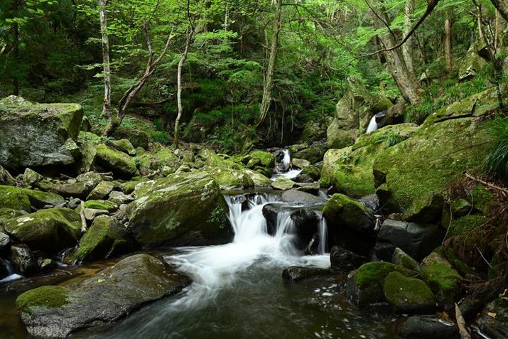 1/2b̃X[Vb^[Ŏ莝Be1B̗uAzIȕiʐ^ɎdグZ fANIKKOR Z 40mm f/2AF8A1/2bAISO250AzCgoXFVAANeBuD-CeBOFȂBeʐ^i6048×4032A17.2MBj