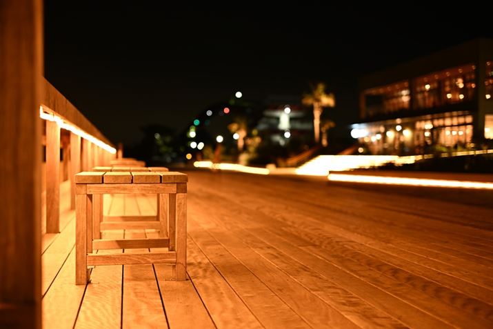 3\}̌_̂Ƀx`zuĎBesBx`[ɔzuƂĂAtH[JX|Cguꏊ_Ɏu␳Ă邽߁Aʑ̂Ǝ~߂邱ƂłZ fANIKKOR Z 40mm f/2AF2A1/4bAISO100A+0.7EVAzCgoXFVAANeBuD-CeBOFȂBeʐ^i6048×4032A8.9MBj