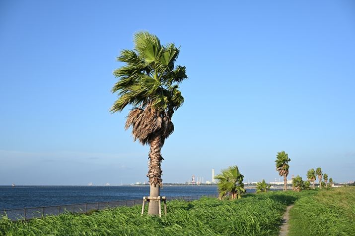 usN`[Rg[vuX^_[hvɐݒ肵AYɂ̓LbgÝuNIKKOR Z 40mm f/2vgpB΂̔F悭AfBe[ƕ\ĂĂZ fANIKKOR Z 40mm f/2AF5.6A1/400bAISO100A+1.0EVAzCgoXFRI[gAANeBuD-CeBOFȂBeʐ^i6048×4032A12.8MBj