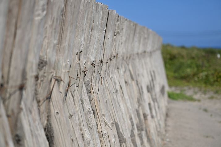 C݂ɂ悯BeBOɍL{PeXgĂ݂A炩RɂڂĂ邱Ƃ킩BaȂł͂̑傫ȃ{P\yɊy߂Z 8ANIKKOR Z 70-180mm f/2.8A80mmAF3.2A1/2500bAISO64A+0.3EVAzCgoXFVAsN`[Rg[FX^_[hAANeBuD-CeBOFWBeʐ^i8256×5504A16.6MBj