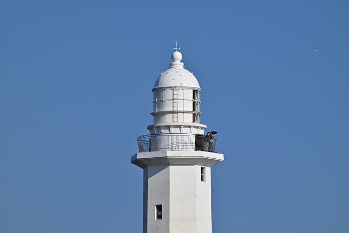 eRo[^[gpƃYP̂Ɣׂď𑜗͂̂́A\pł郌xZ 8ANIKKOR Z 70-180mm f/2.8A330mmiTC-2.0xgpjAF8A1/500bAISO64AzCgoXFRI[gAsN`[Rg[FX^_[hAANeBuD-CeBOFWBeʐ^i8256×5504A14.9MBj