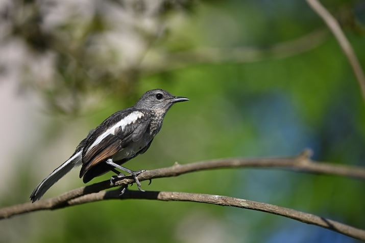 UɌBeBĎB肽ƂZ 8ANIKKOR Z 70-180mm f/2.8A180mmAF2.8A1/1250bAISO100AzCgoXFRI[gAsN`[Rg[FX^_[hAANeBuD-CeBOFȂBeʐ^i8256×5504A16.4MBj