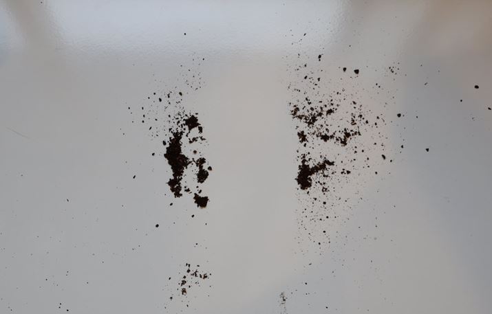 uEufy HomeVac H11vʂꂢɋz