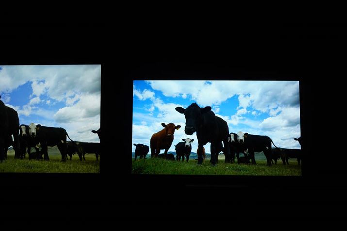 ʑŜ邢V[ŉ掿`FbNB邭\̔悭oĂ邵Ae̕Ƃ̃RgXgDG