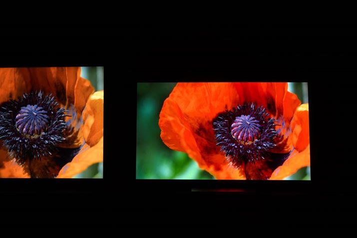 FN₩ȉԂ̉fBuWvłN₩uȂFׂꂵȂ▭ȃoXɎdオĂ