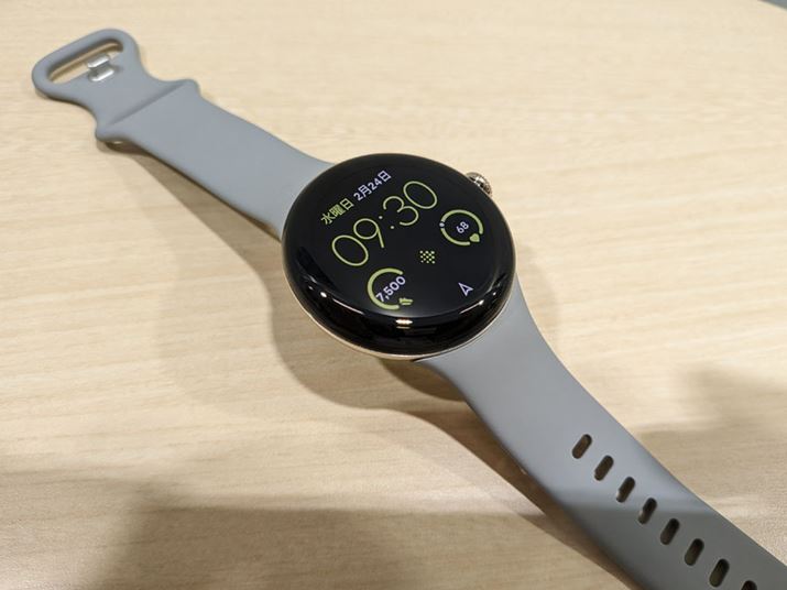 ی`fUCGoogleȂł́BuPixel WatchṽohƂ̌݊܂