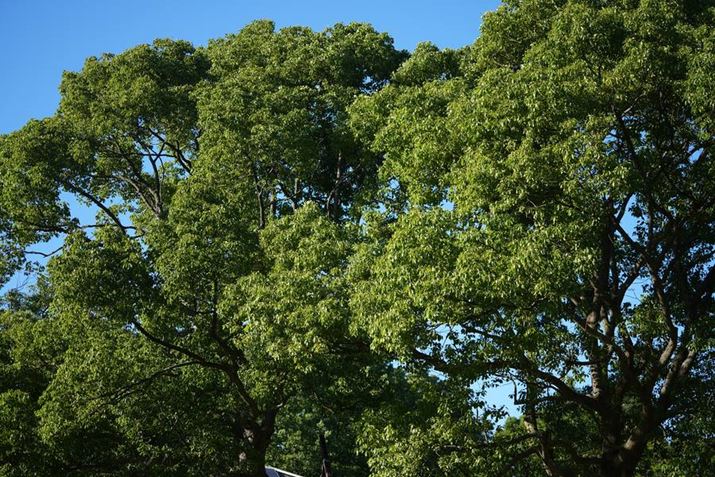 7 IVAFE 70-200mm F4 G OSSA70mmAF4A1/400bAISO100AzCgoXFI[gANGCeBubNFSTBeʐ^i7008×4672A31.2MBj