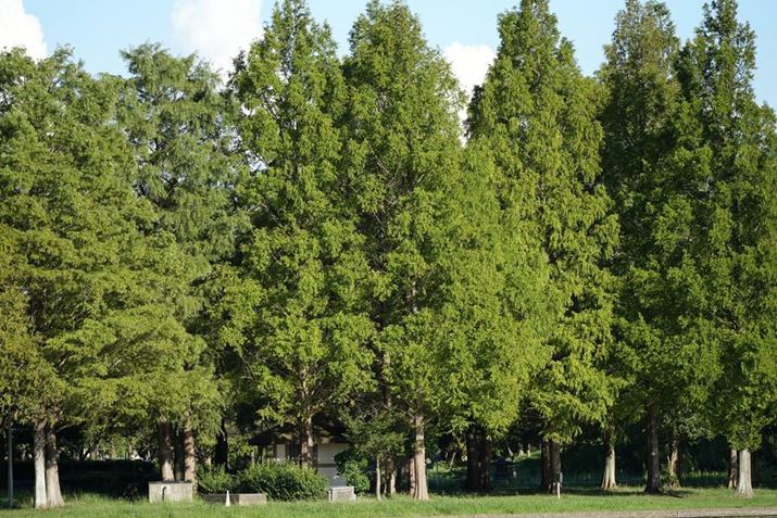 7 IVAFE 70-200mm F4 Macro G OSS IIA200mmAF4A1/1500bAISO100AzCgoXFI[gANGCeBubNFSTBeʐ^i7008×4672A35.5MBj