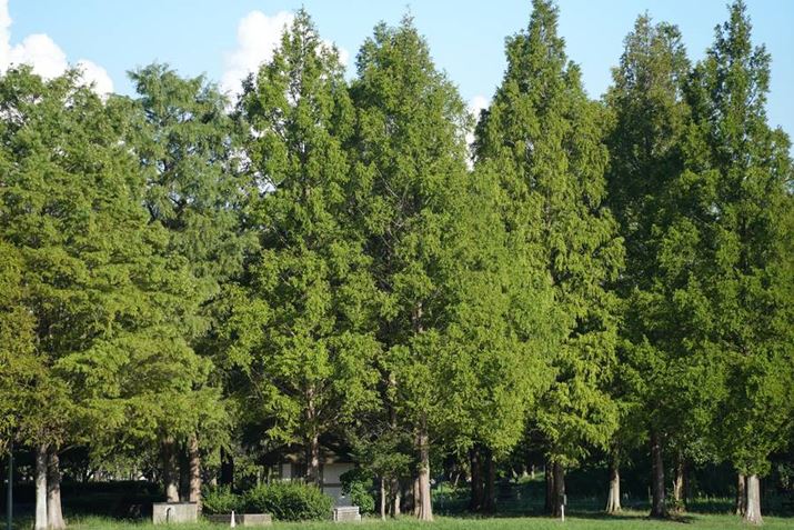 7 IVAFE 70-200mm F4 G OSSA200mmAF4A1/1500bAISO100AzCgoXFI[gANGCeBubNFSTBeʐ^i7008×4672A31.3MBj