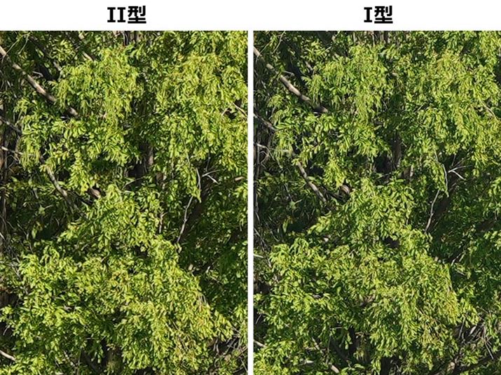 uFE 70-200mm F4 Macro G OSS IIvŁAEuFE 70-200mm F4 G OSSv