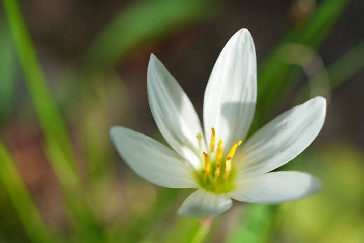 7 IVAFE 70-200mm F4 Macro G OSS IIA71mmAF4A1/400bAISO400A+0.3EVAzCgoXFI[gANGCeBubNFSTBeʐ^i7008×4672A17.2MBj