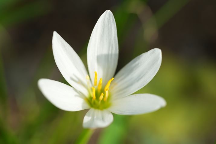 7 IVAFE 70-200mm F4 Macro G OSS IIA100mmAF4A1/500bAISO400A+1.0EVAzCgoXFI[gANGCeBubNFSTBeʐ^i7008×4672A16.6MBj