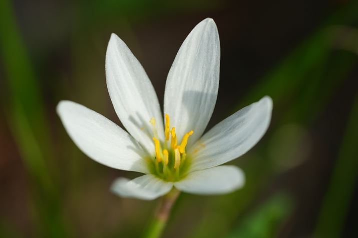 7 IVAFE 70-200mm F4 Macro G OSS IIA200mmAF4A1/800bAISO400A+0.3EVAzCgoXFI[gANGCeBubNFSTBeʐ^i7008×4672A17.2MBj