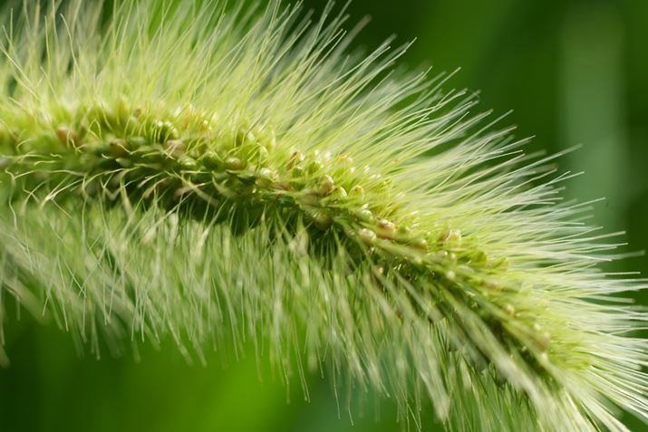 7 IVAFE 70-200mm F4 Macro G OSS IIA142mmAF8A1/125bAISO400A+0.3EVAzCgoXFI[gANGCeBubNFSTA2{eRo[^[uSEL20TCvgpBeʐ^i7008×4672A18.9MBj