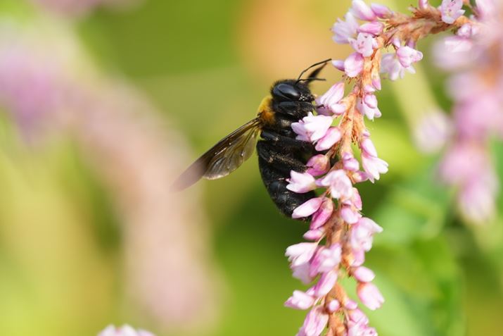 7 IVAFE 70-200mm F4 Macro G OSS IIA400mmAF8A1/250bAISO400A+1.0EVAzCgoXFI[gANGCeBubNFSTA2{eRo[^[uSEL20TCvgpBeʐ^i7008×4672A16.2MBj